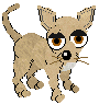 bull03.gif